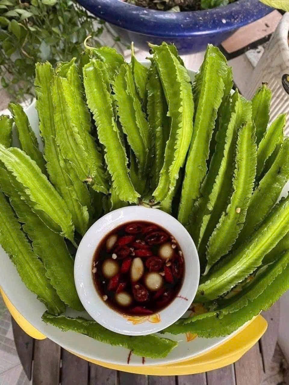 Đánh giá Hải Yến